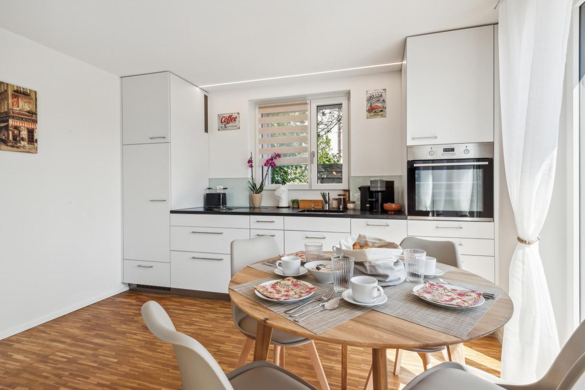Business I Family Apartment I 1-4 Personen - Aare Blick, Nahe Altstadt I Beamer - 99" Leinwand I Terrassen Lounge Und Parkplatz Brugg  Exterior foto